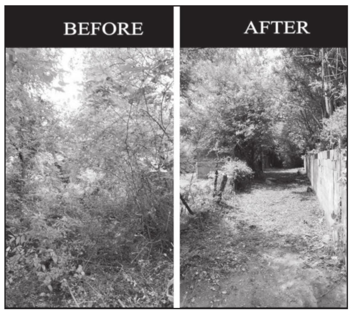 City of Seminole Reminds Citizens Yard Maintenance Includes Alleyways