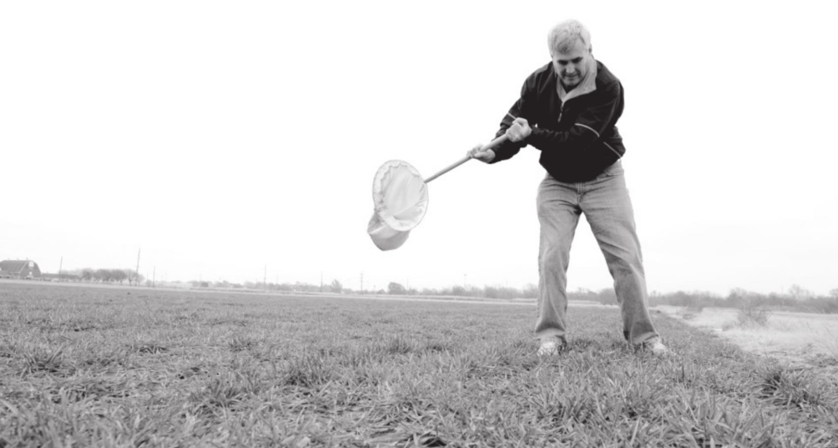 Oklahoma Wheat Crop Looks Good, But Growers Need to Remain Vigilant