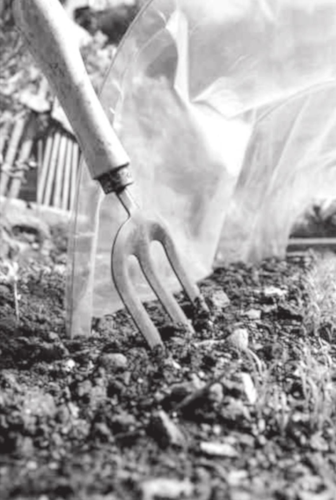 Cold Frames, Greenhouses, and Beyond: Four-Season Gardening