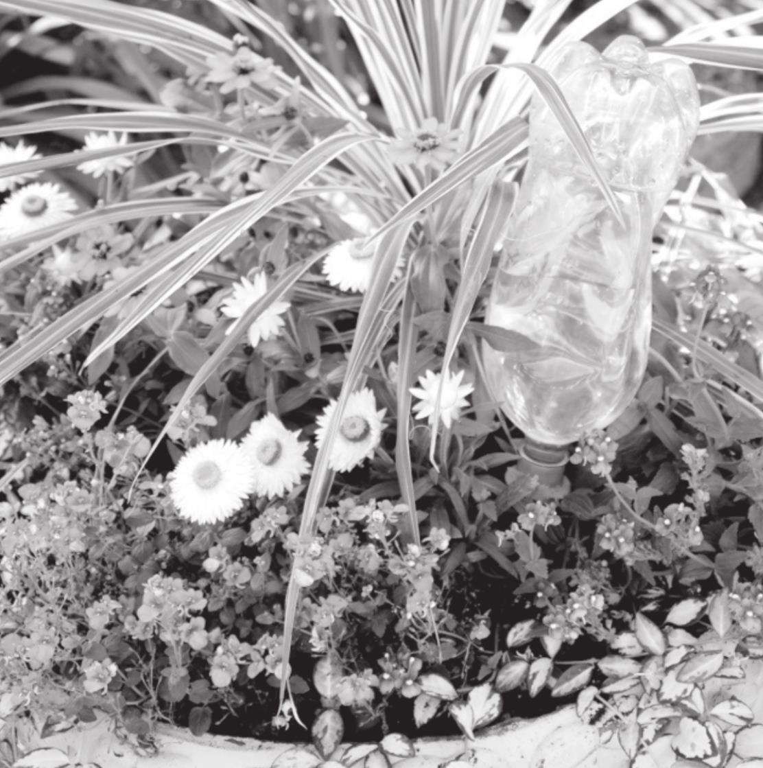 Vacation Care for Container Gardens