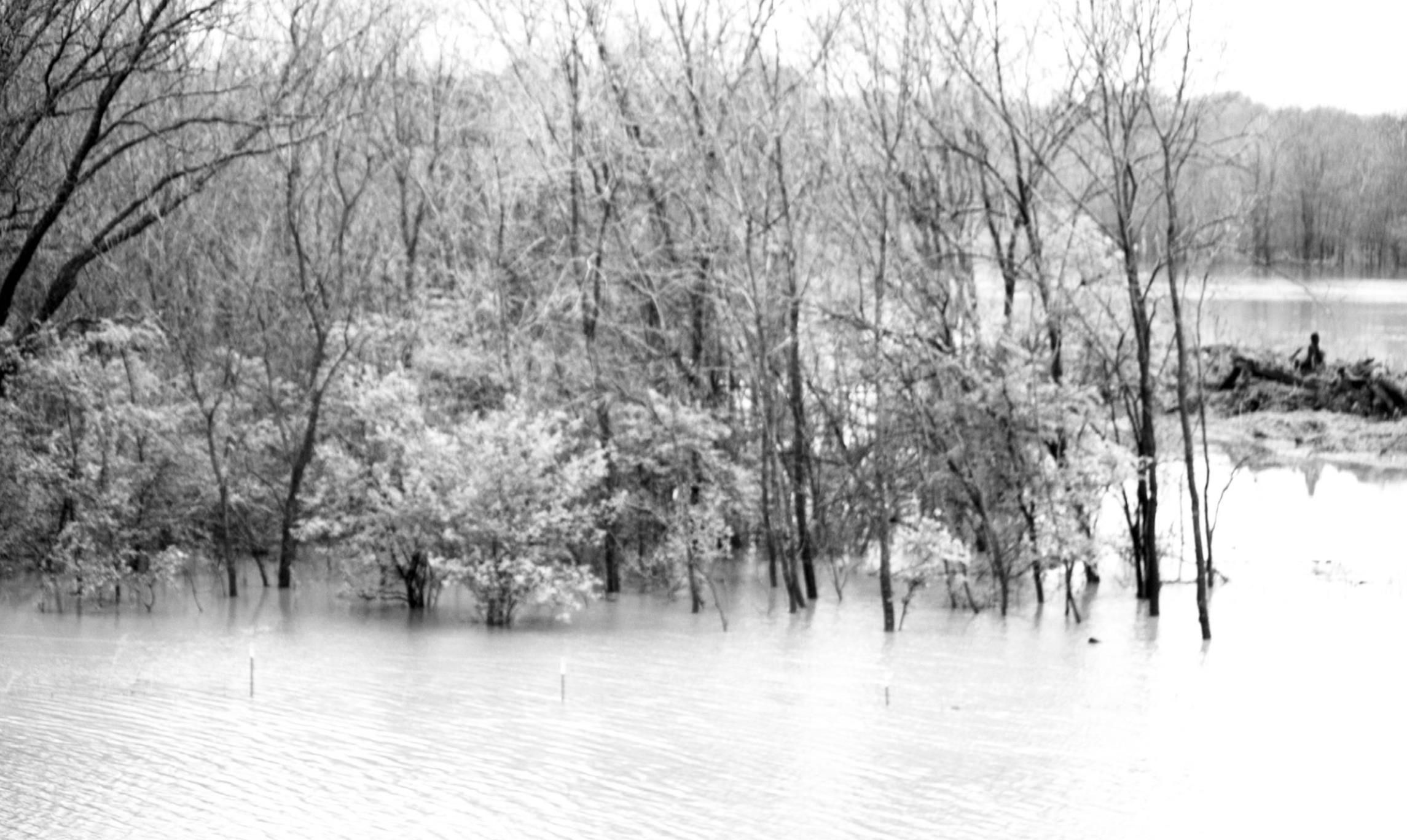 Flood Stage