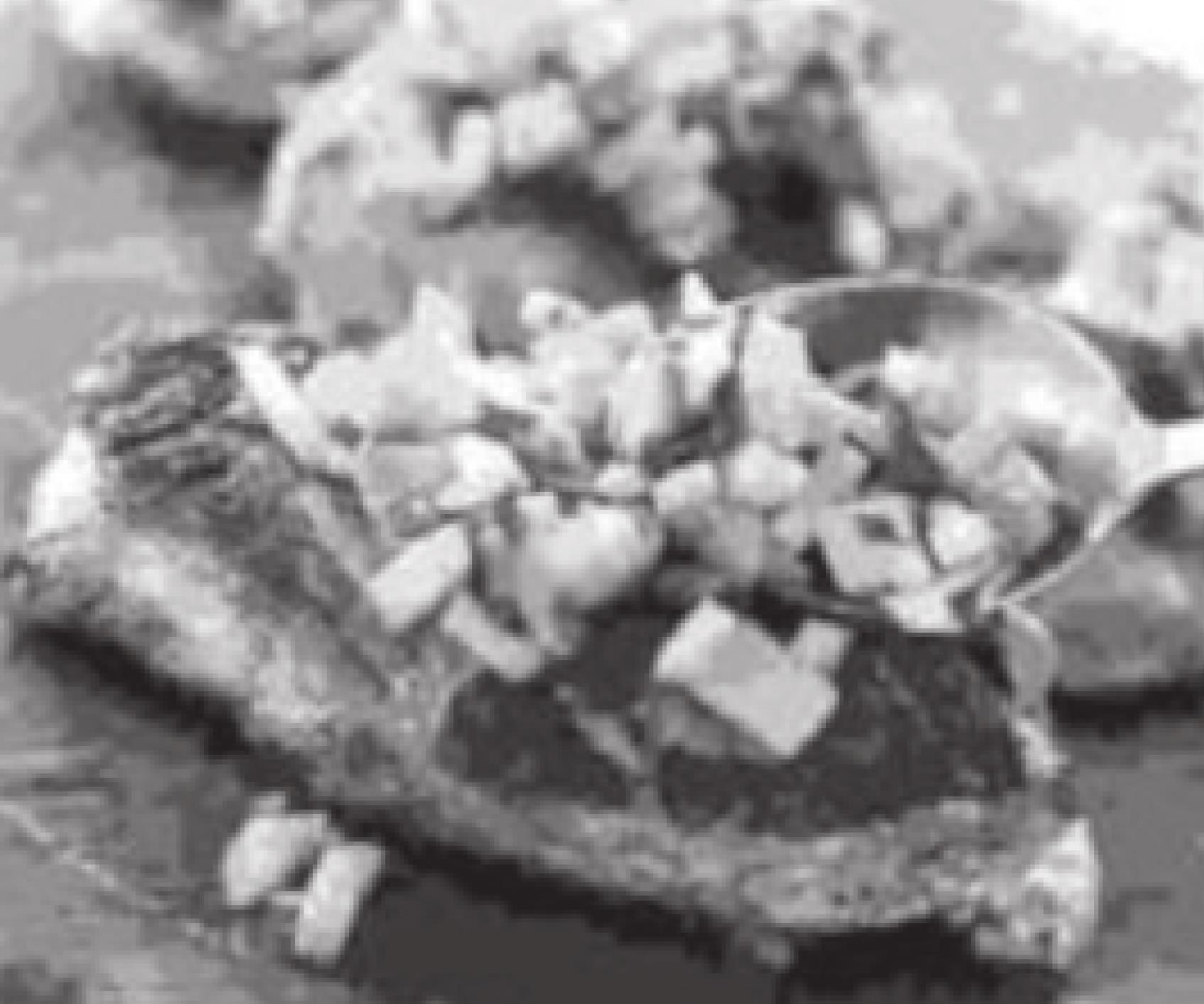 Add Fresh Flavor To Grilled Chicken