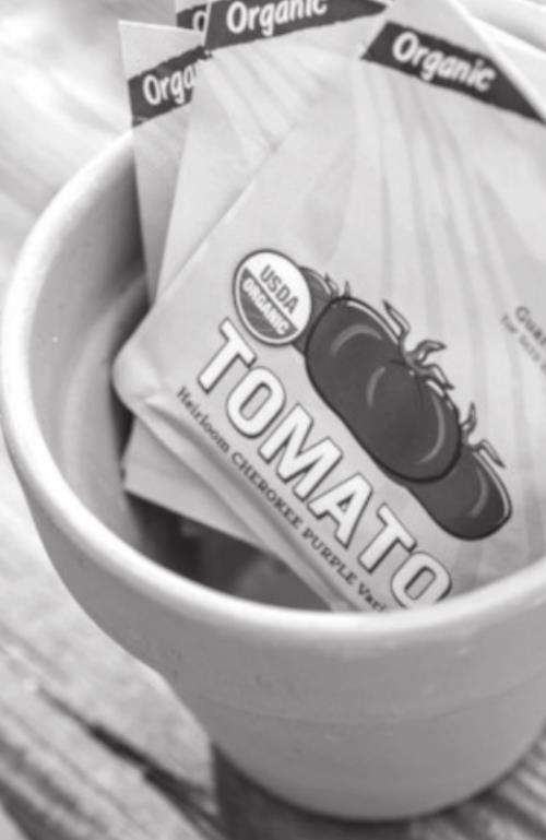Tips to Successfully grow Tomatoes
