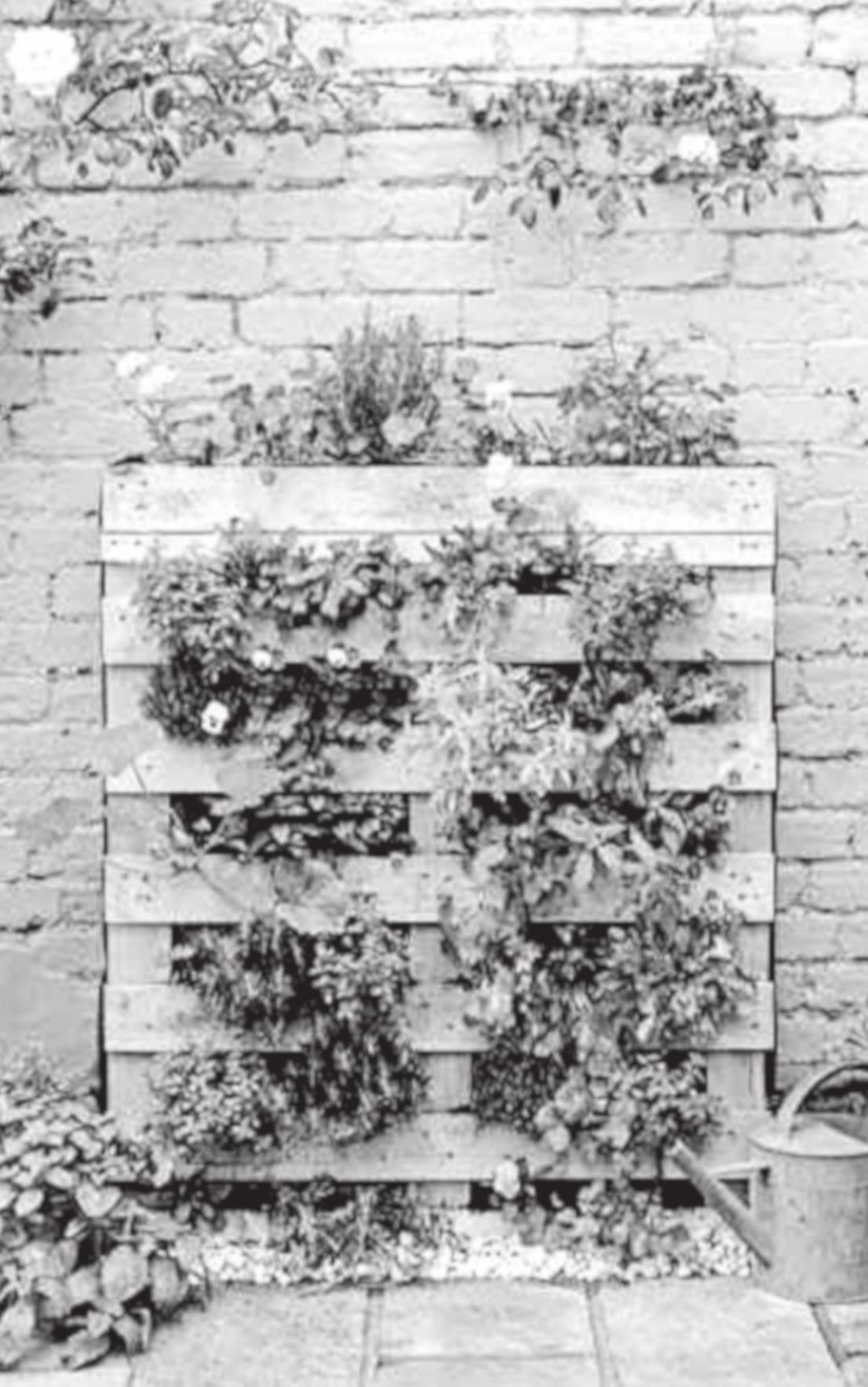 How to Build a Vertical Pallet Garden for Vegetables and Herbs