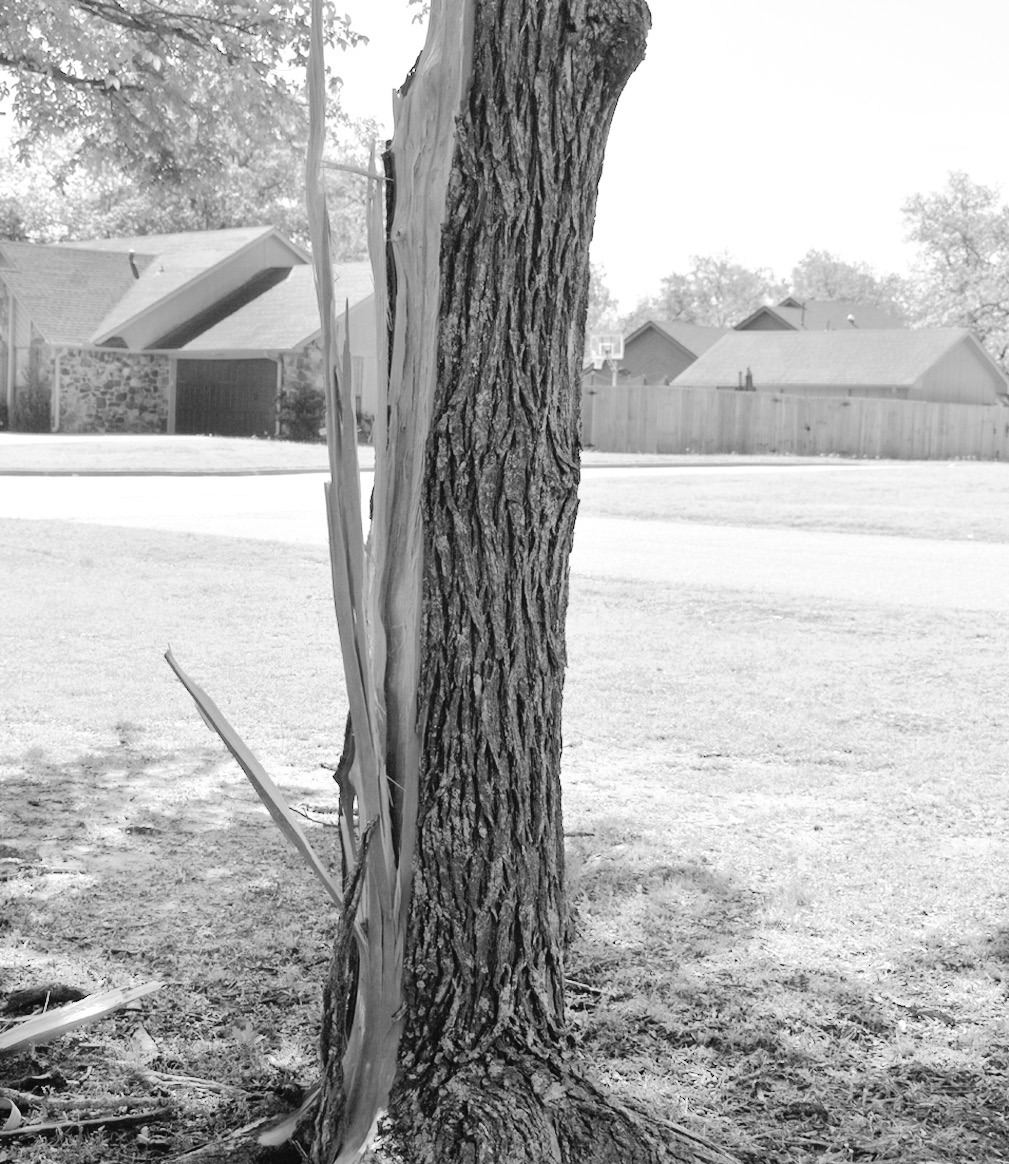 A tree on the Northwood Elementary campus was split by a lightning strike over the weekend as severe weather rolled across Seminole County. Locally, no tornadoes were associated with the storm but in Hughes County a tornado claimed one life Saturday. —S