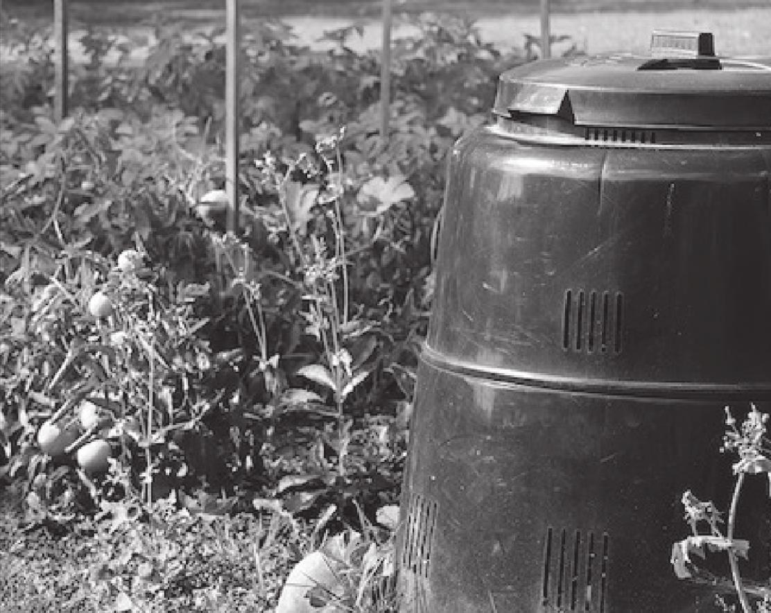 Gardening with Children