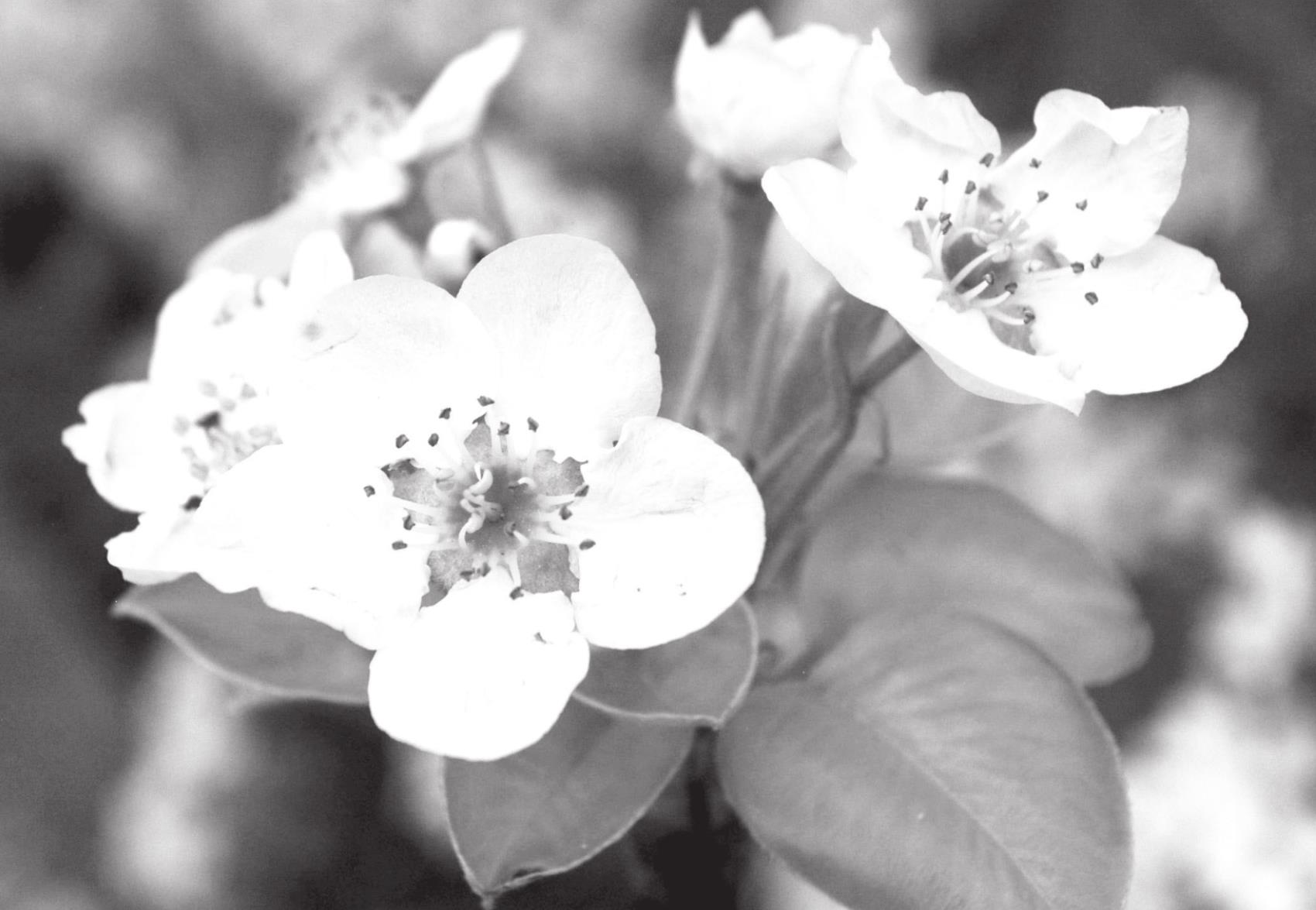 Spring Has Sprung