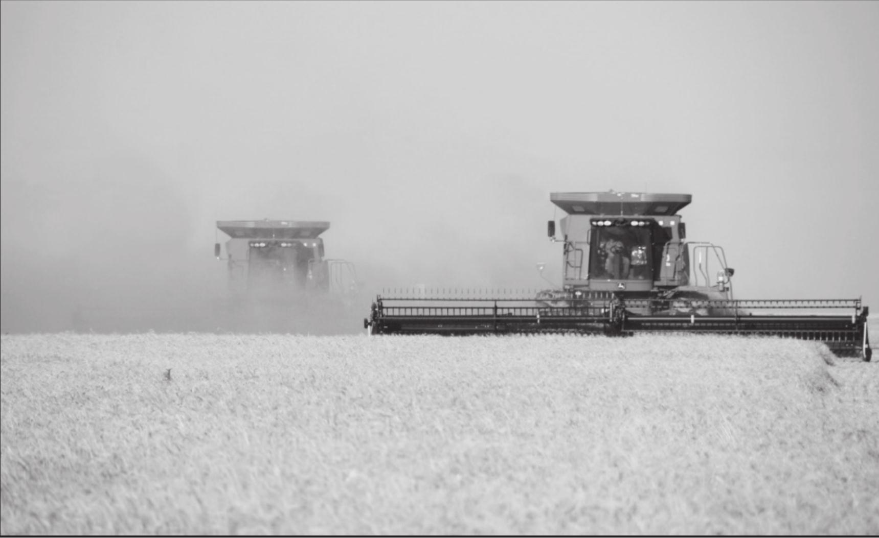 Wheat Harvest Adapts To COVID-19 Precautions