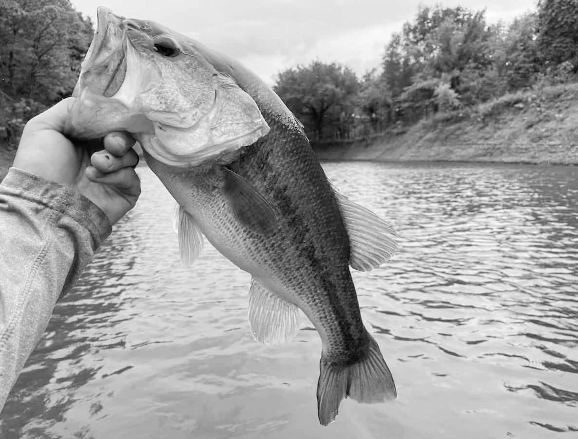 Latest Fishing Report for December 29, 2024