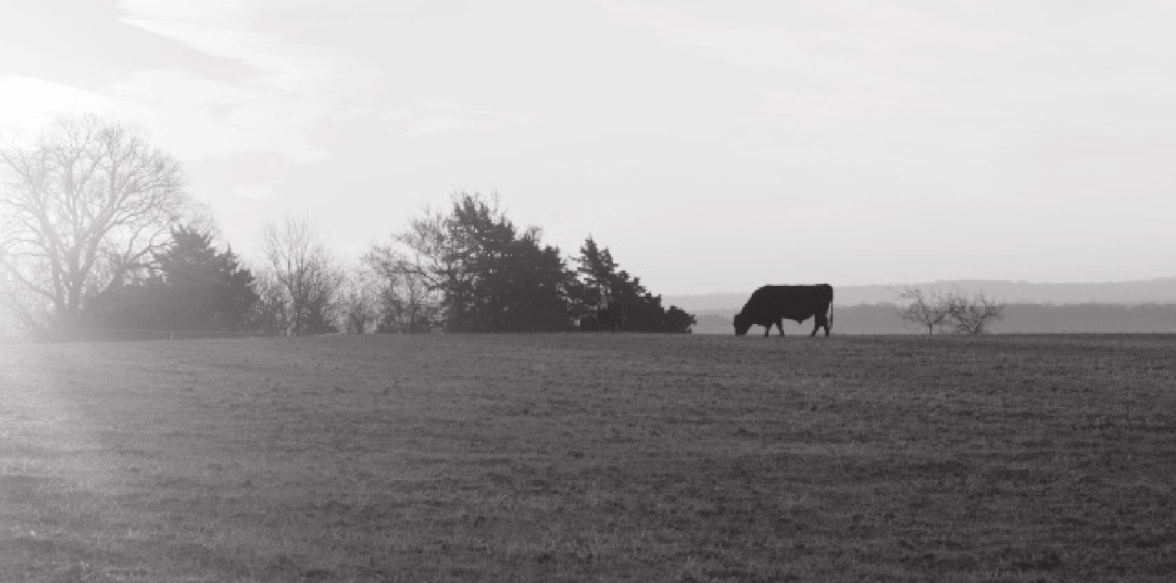 Land Rentals Reported for Crops, Pasture