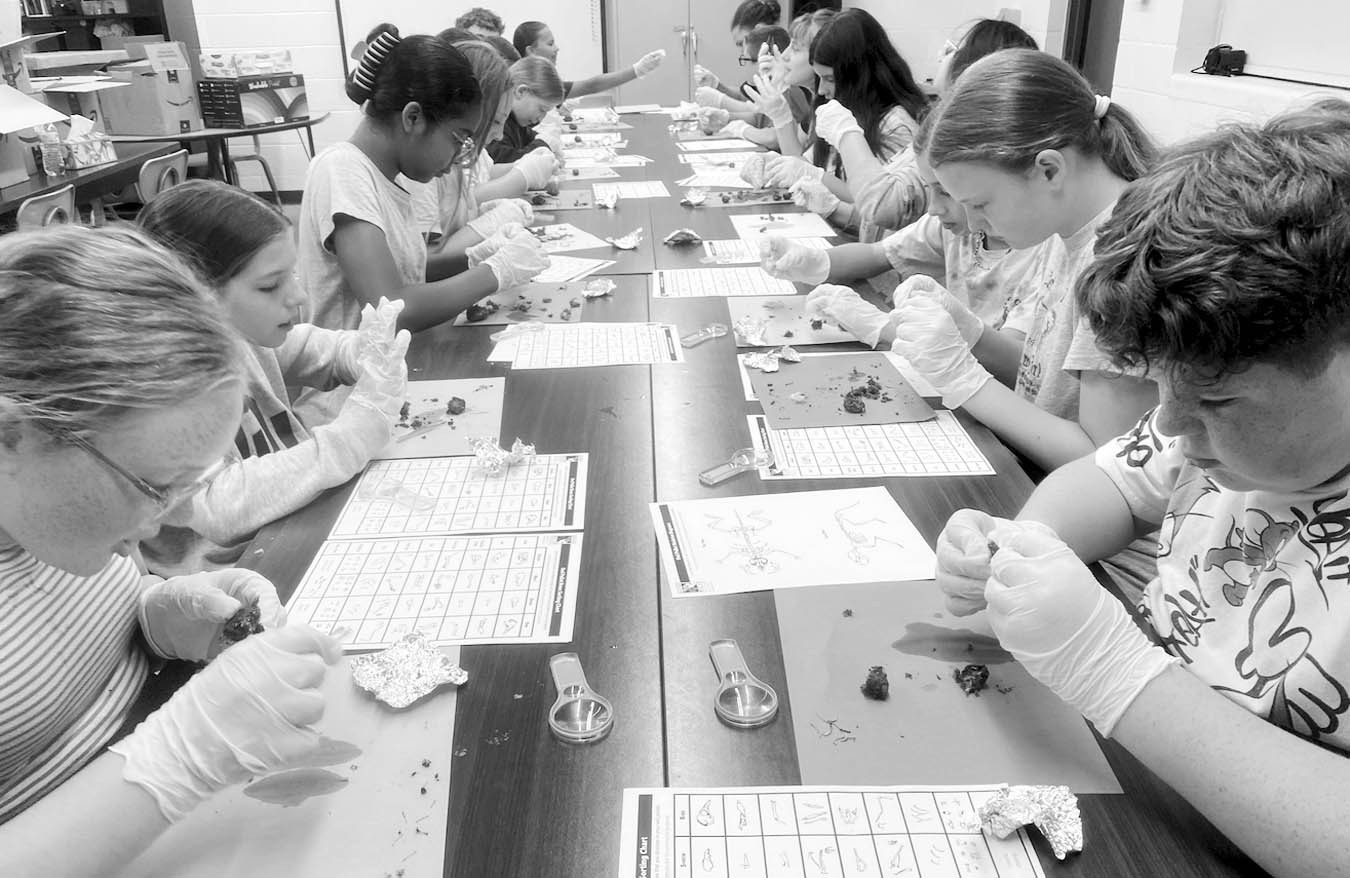 Jessica Carr’s 6th grade science class at New Lima Public Schools recently had the opportunity to dissect owl pellets. Once dissected, they were able to record their findings on a bone sorting chart. Owl pellets are the undigested parts of an owl’s fo