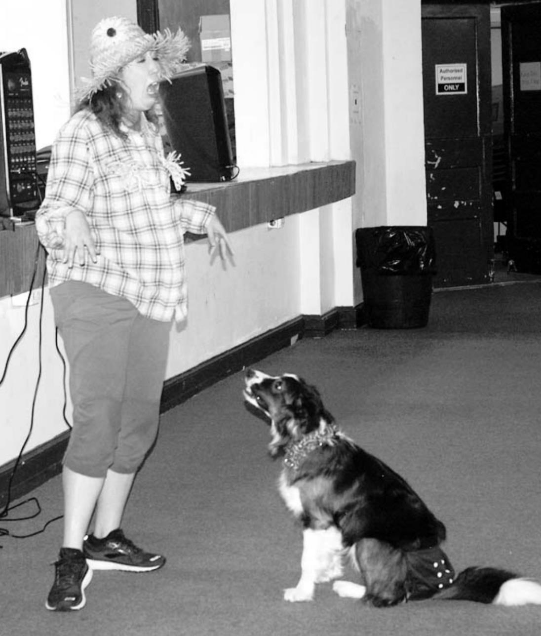 Bow-wowing the Crowd