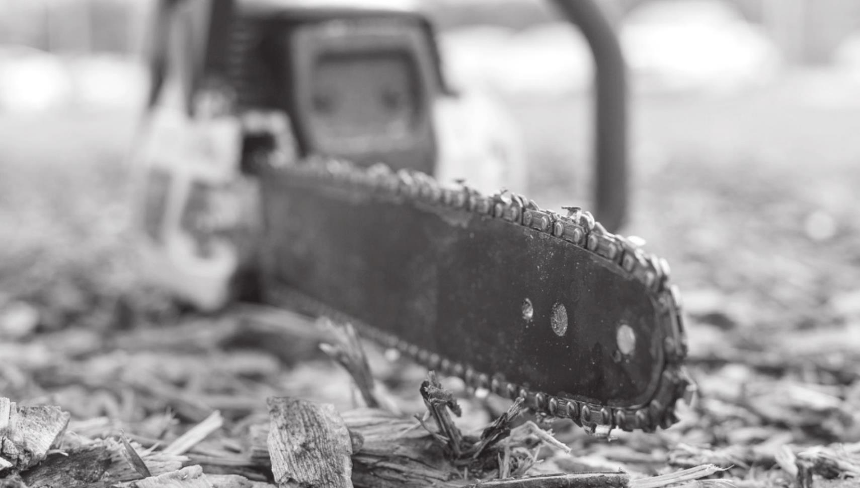 Storm Cleanup Requires Chainsaw Caution, Safety