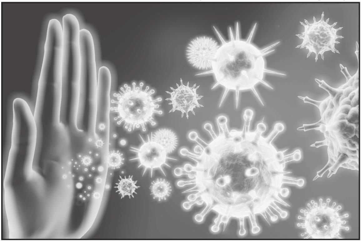 Tips To Help Boost Immune System In Effort To Remain Healthy