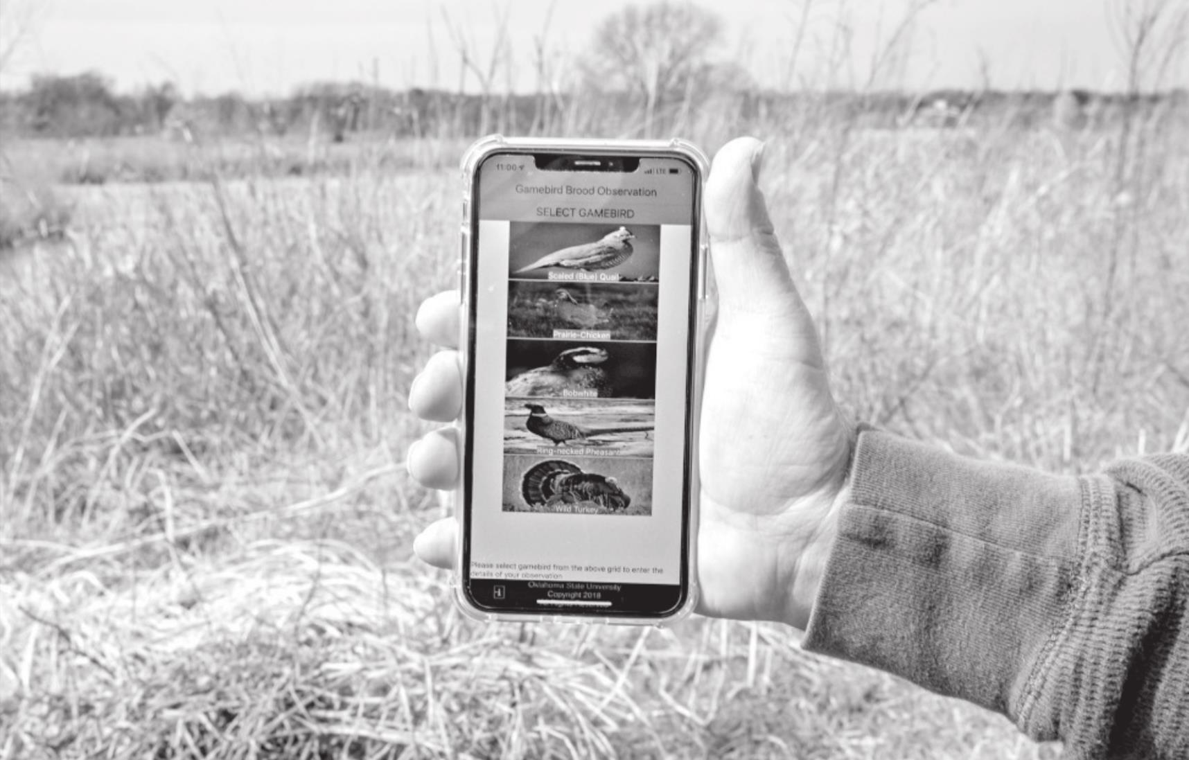 Wildlife Biologists Gain Valuable Information from Smartphone App
