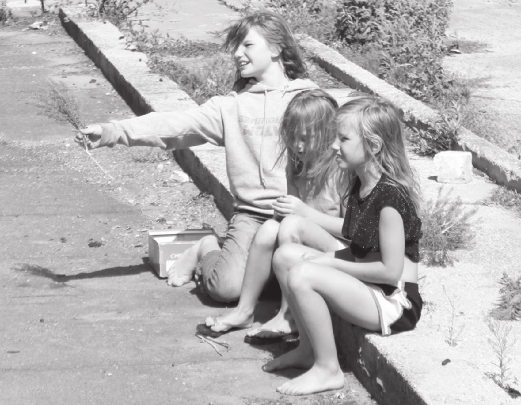 Fun in the Sun...