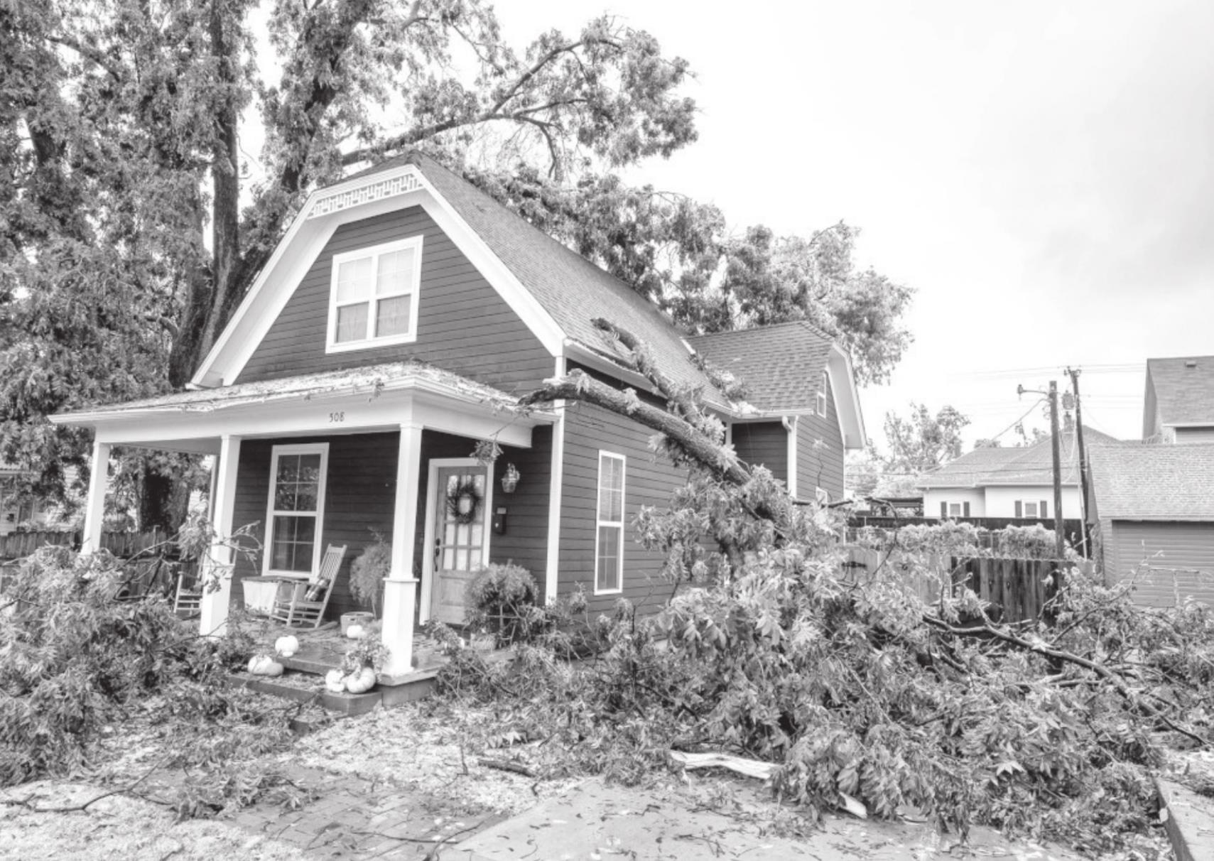 Know the Basics of Assessing Structural Damage After Extreme Weather