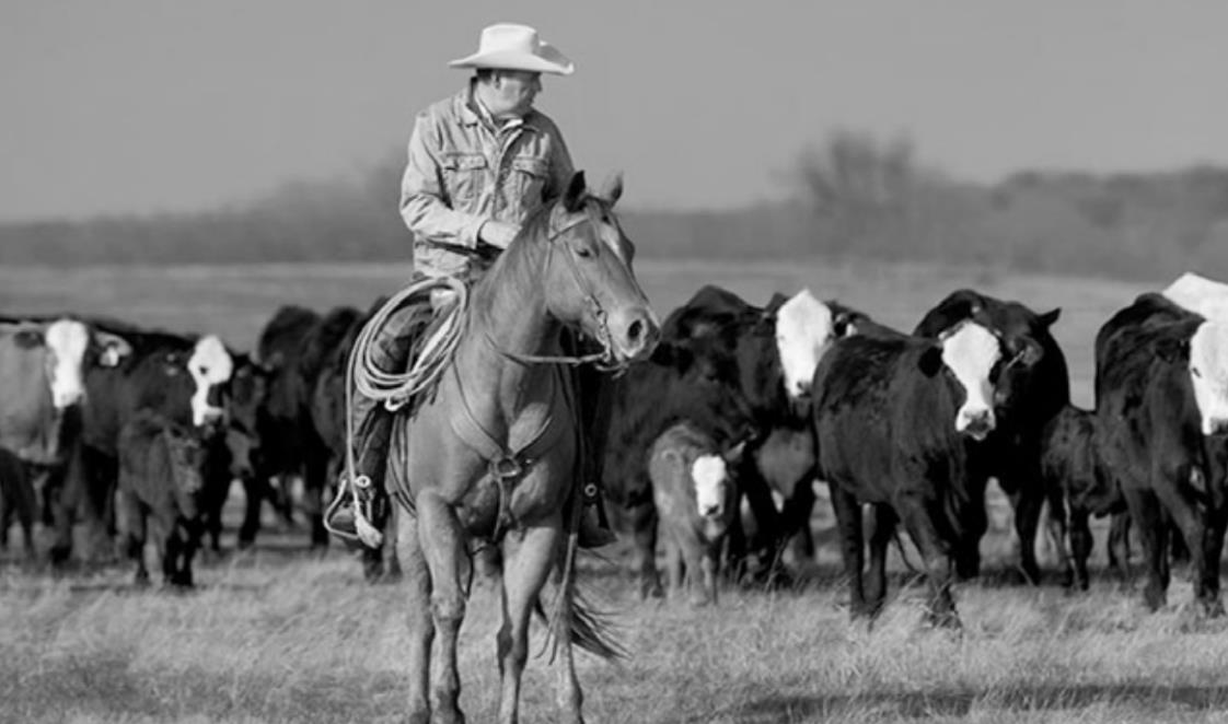 Cyberattack Leaves Oklahoma Beef Producers on Edge