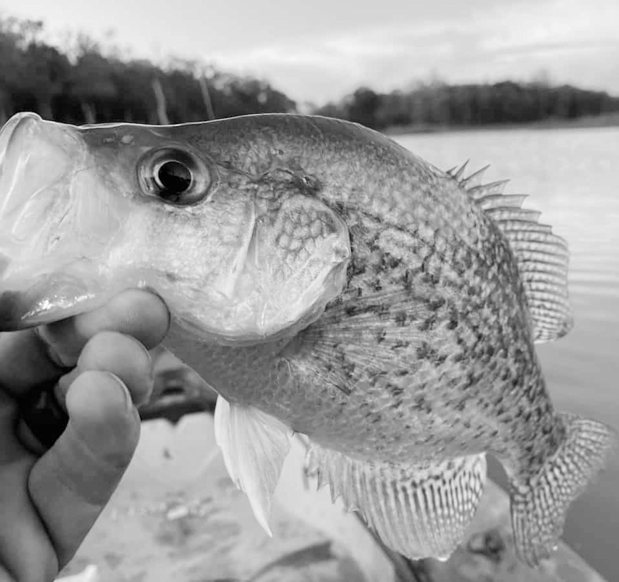 Latest Oklahoma Fishing Report for August 27, 2025