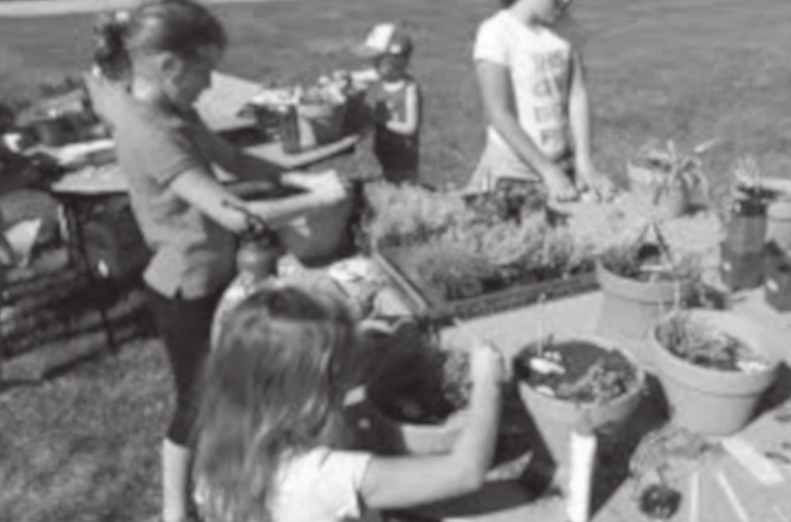 Six Steps To Creating Fairy Gardens For Kids