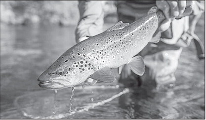 Latest Oklahoma Fishing Report for December 17, 2025