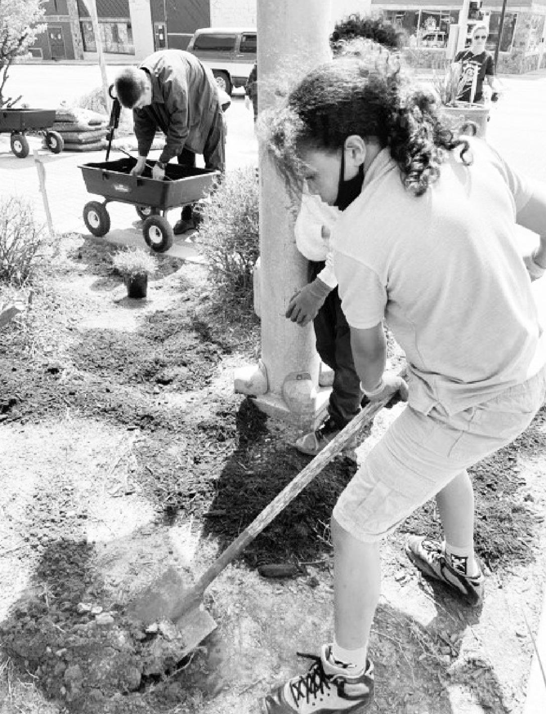 TAOS Students Dismayed Over Main Street Flower Theft