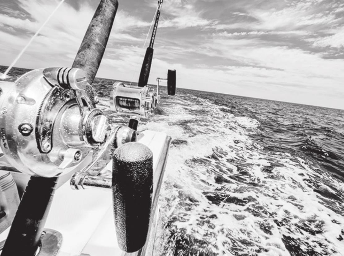 Catch And Release For Beginning Anglers