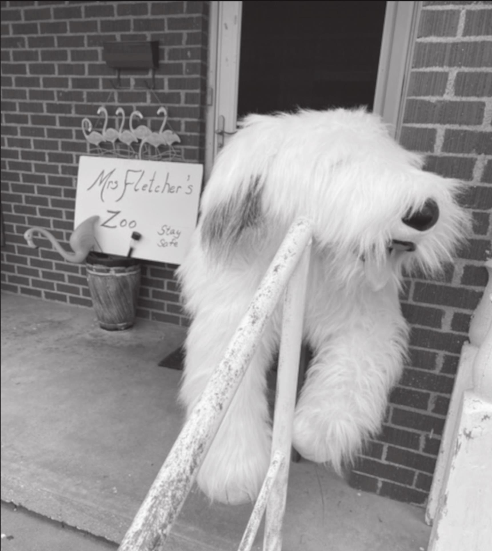 Mrs. Fletcher’s Zoo…