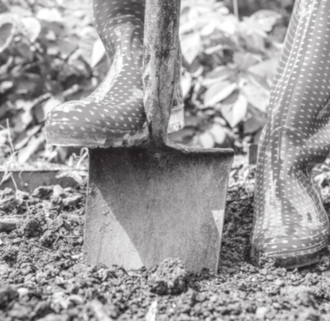 Preparing Garden Beds for Spring and Beyond