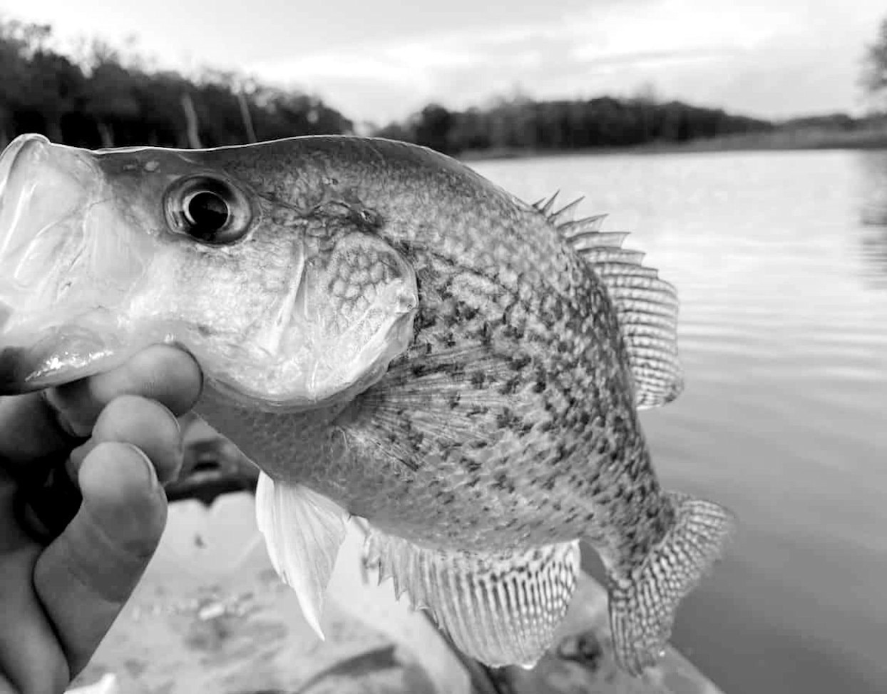 Latest Oklahoma Fishing Report for October 29, 2025