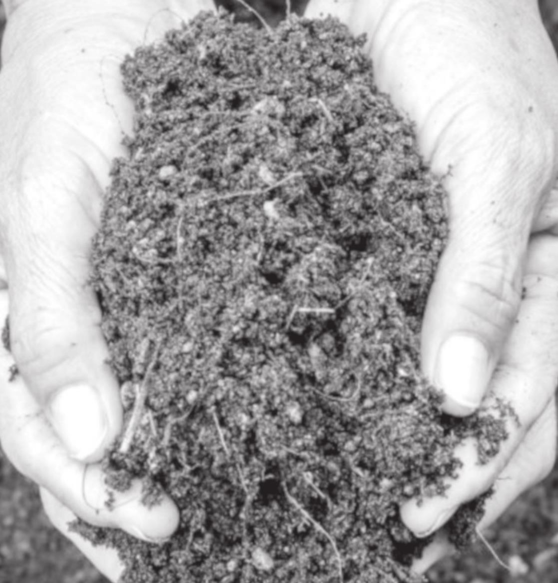 How Urban Gardeners Can Lower the Risk of Contact with Soil Contaminants