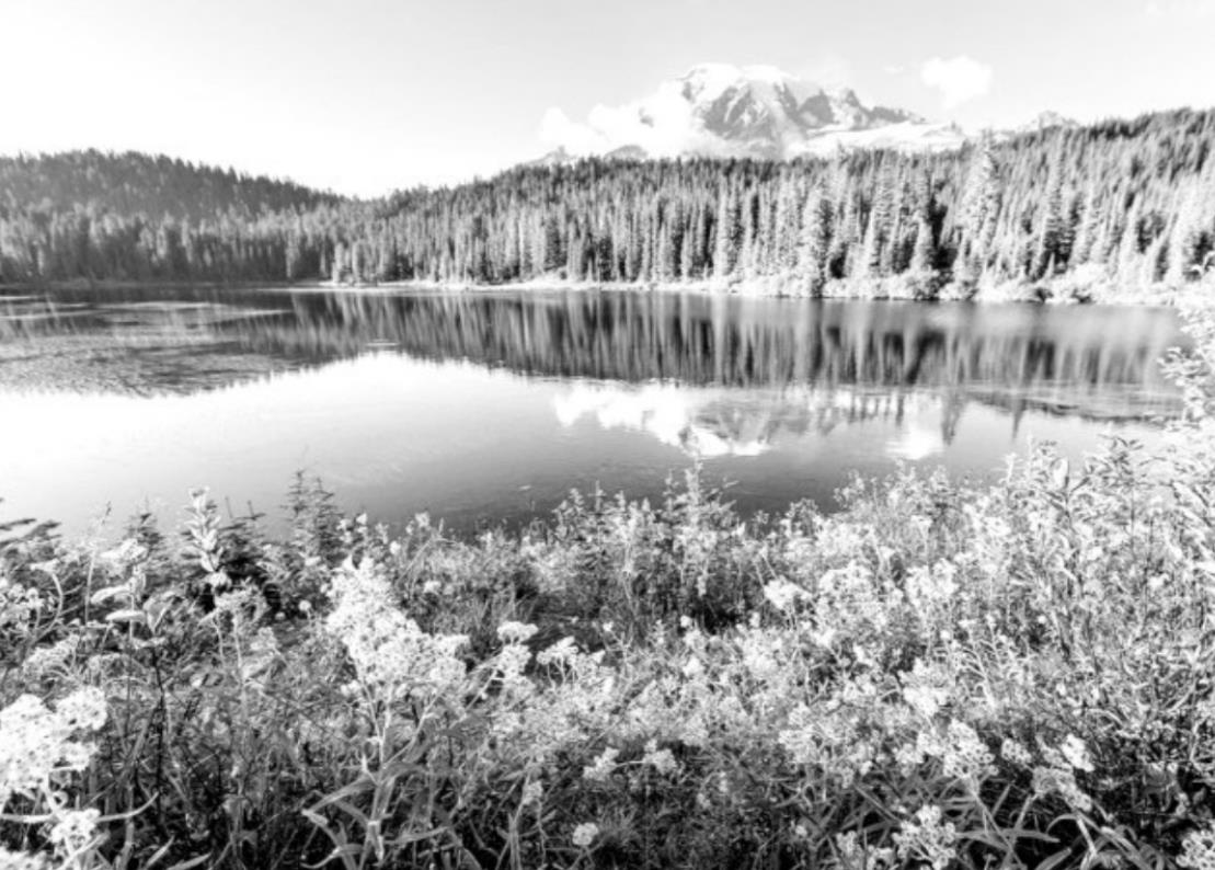 USDA Announces $218 Million Investment in Land and Water Conservation