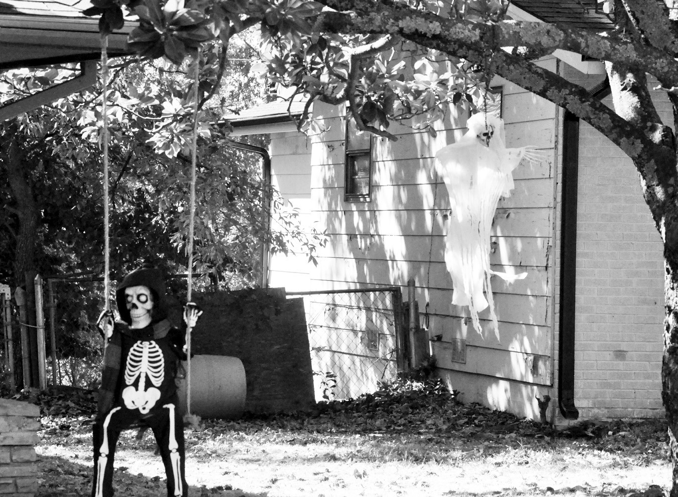 A skeleton swings and a ghost dangles from the branches of a tree in a local front yard, a sure sign that Halloween is right around the corner. Citywide trick or treating for Seminole will take place from 5:30 – 8:30 p.m. on Oct. 31, and the Seminole Ar