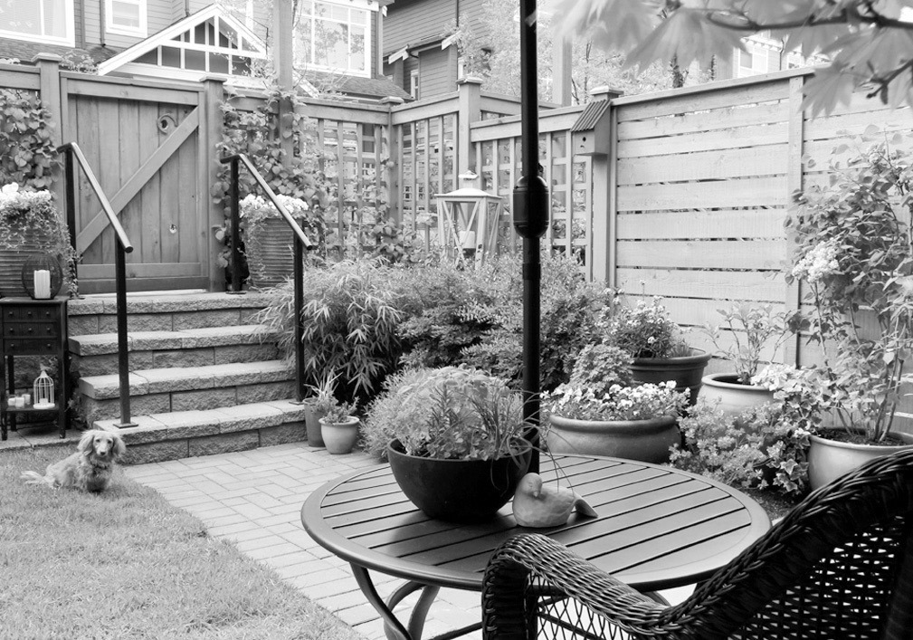 Master Backyarder Mindset: How to Backyard Big, Even in Small Spaces