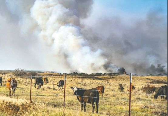 Brush up on Wildfire Plans During The Winds of March