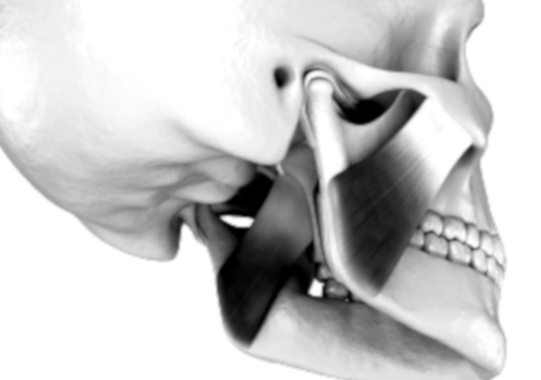 3D Implants in 3 Minutes: OU Engineering Student Recognized for Thesis Video Presentation