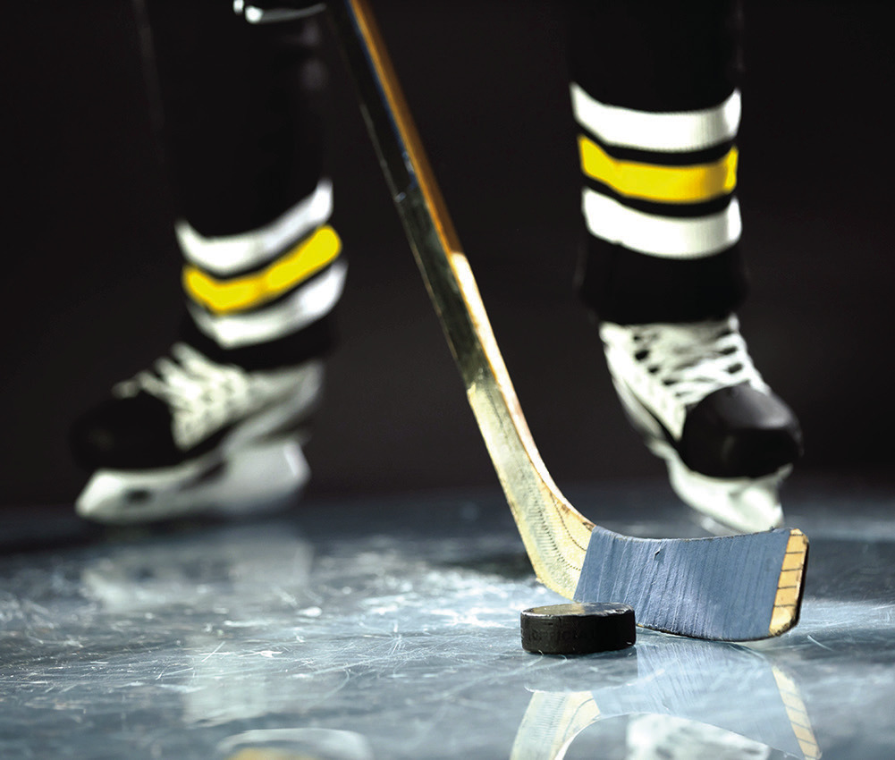 Facts to Enjoy During Hockey Season