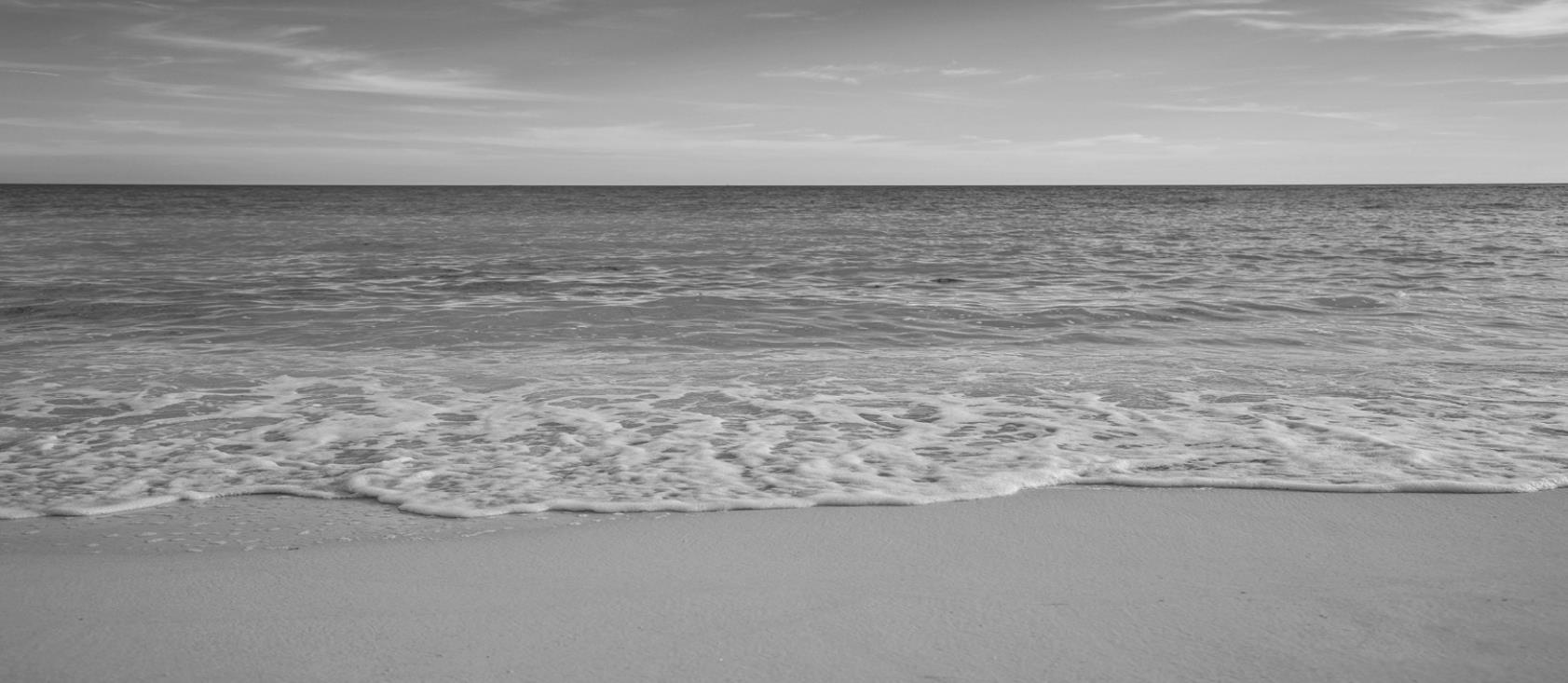 What You Can Learn from an Ocean Going into World Oceans Day