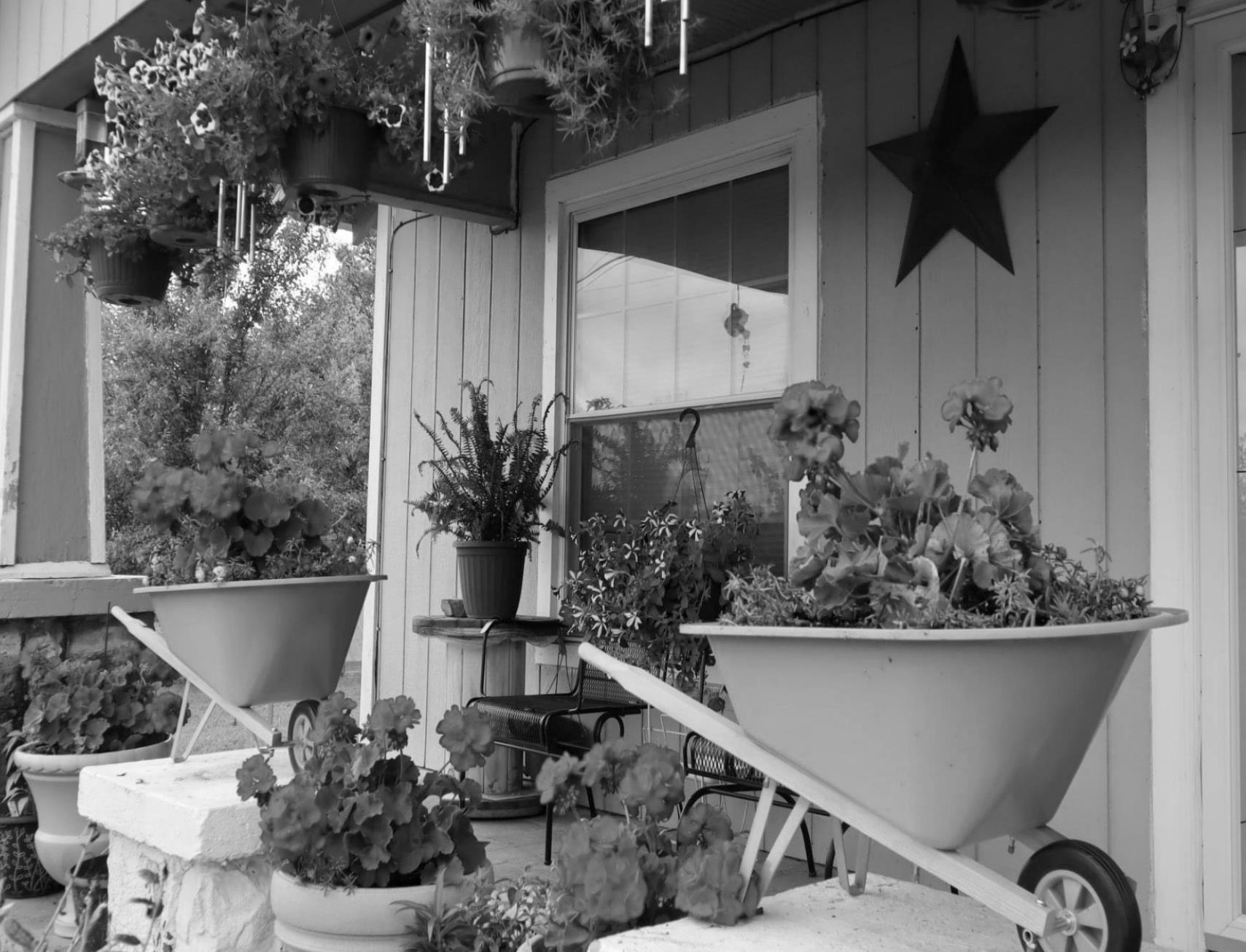 House of Flowers