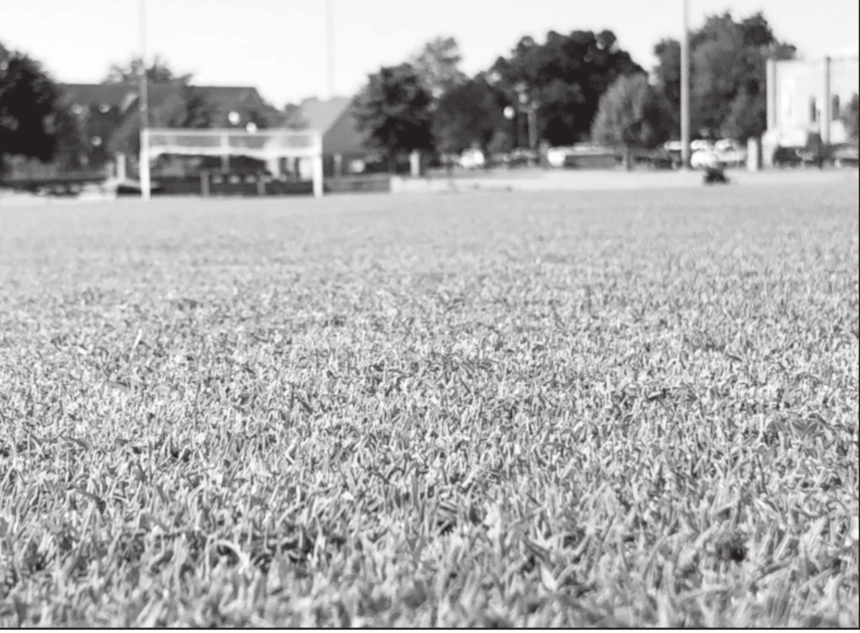 Tahoma 31 Carries on OSU Turfgrass Legacy