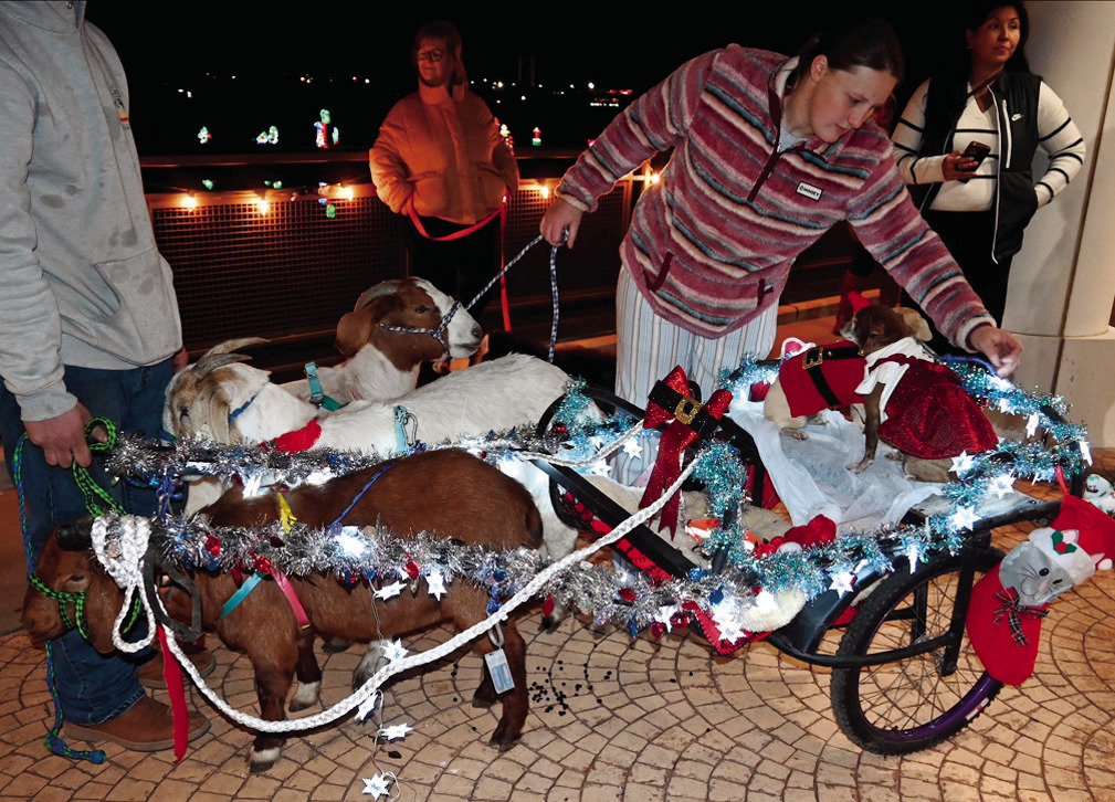You’ve heard of reindeer pulling a sleigh, but how about goats? The unusual pairing pictured above won first place in Tuesday’s pet costume contest at Snowman Wonderland. Left, “Hootie” the shade-wearing canine came in second place. (Photos courte
