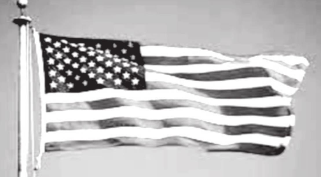 The History of Flag Day
