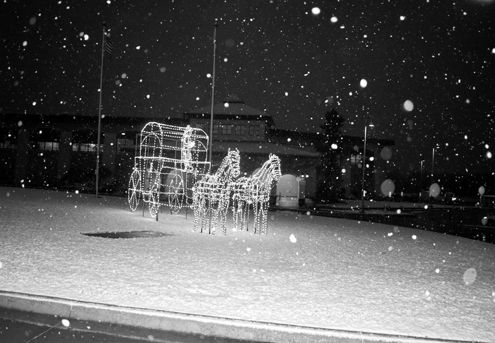 Winter Wonderland