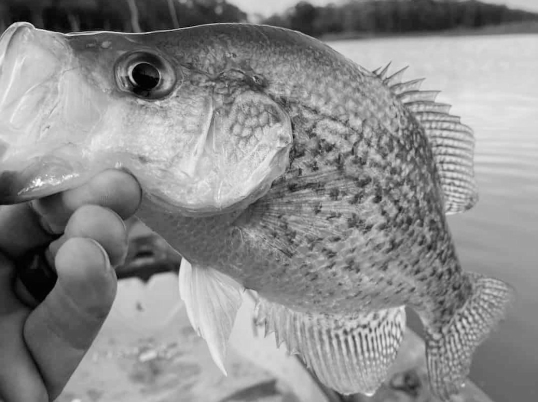 Latest Fishing Report for December 18, 2024