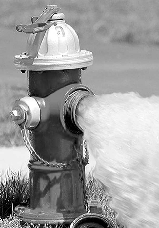 The Seminole Water Department