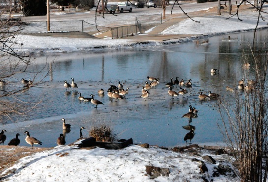 Old Man Winter Lessens Grip on Seminole County