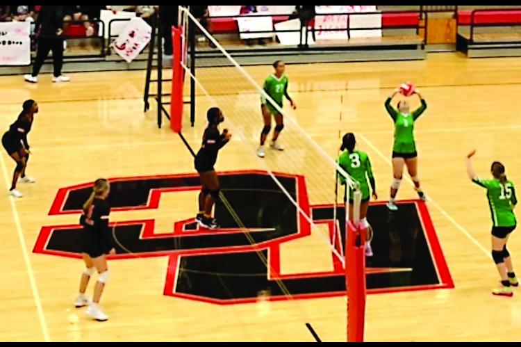 Seminole Volleyball Fight a Tough Fight but Fall Short Thursday