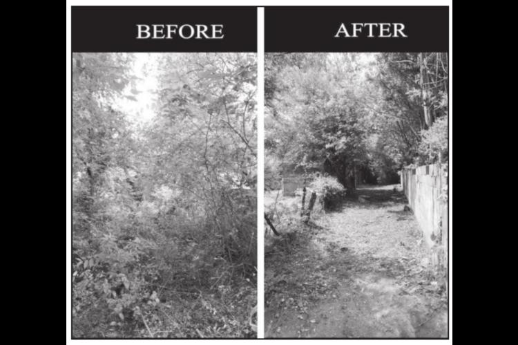 City of Seminole Reminds Citizens Yard Maintenance Includes Alleyways