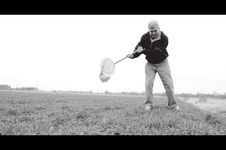 Oklahoma Wheat Crop Looks Good, But Growers Need to Remain Vigilant