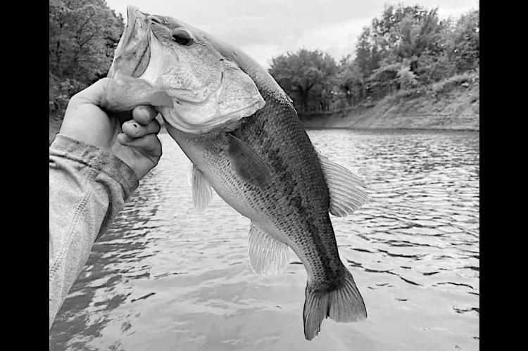 Latest Oklahoma Fishing Report for October 14, 2026